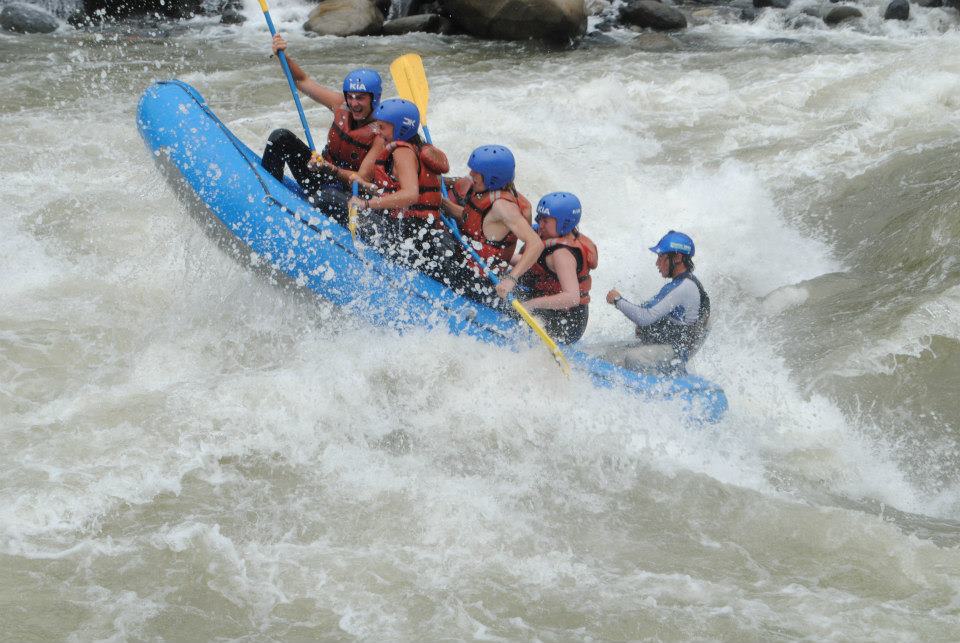 portfolio woocommerce