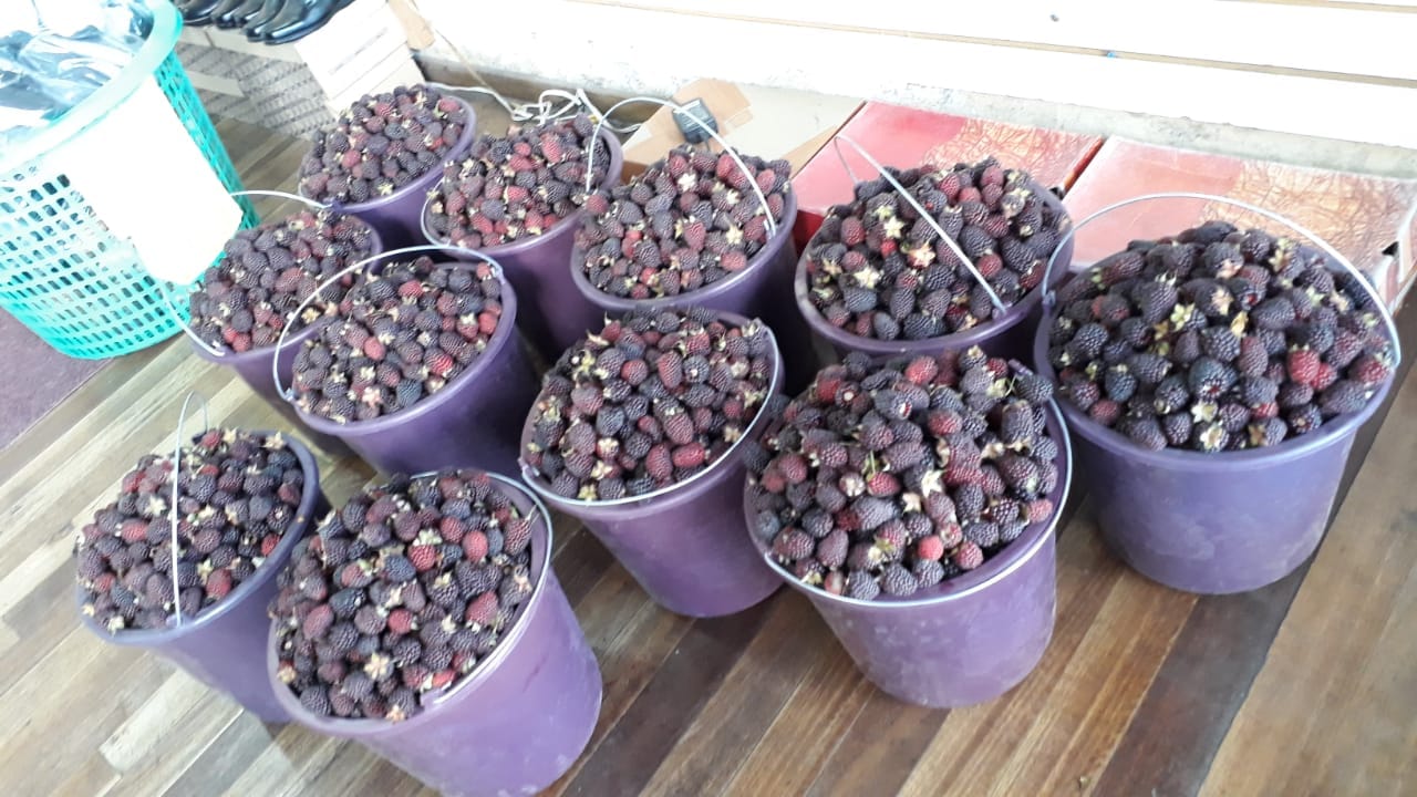 portfolio woocommerce