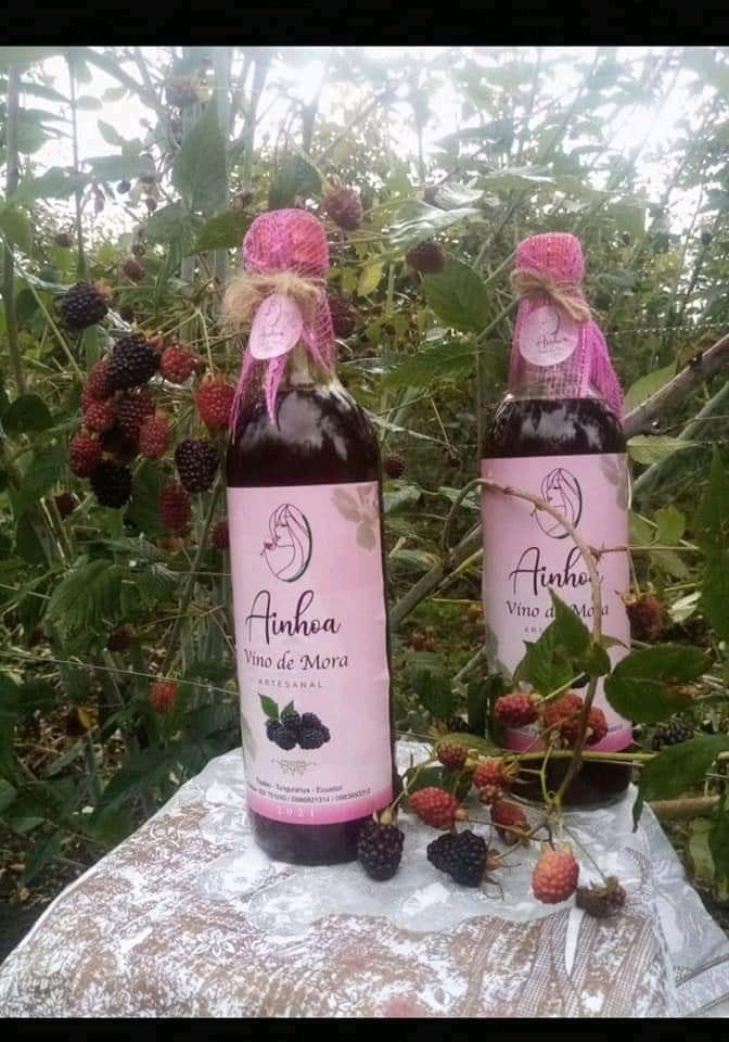 portfolio woocommerce