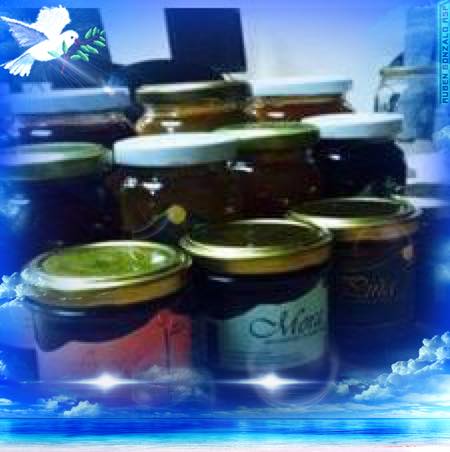 portfolio woocommerce